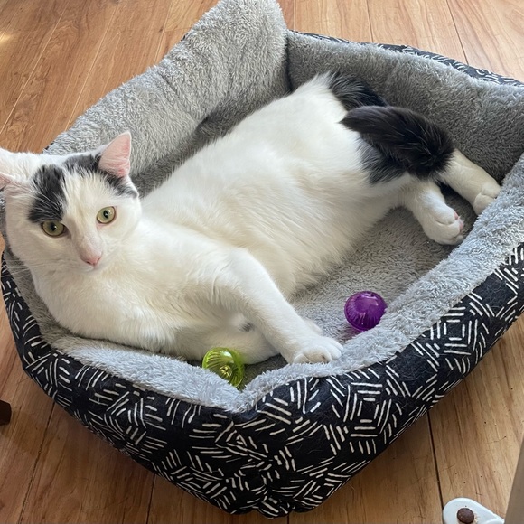 Meet your Posher, Kathy - Picture 10 of 16